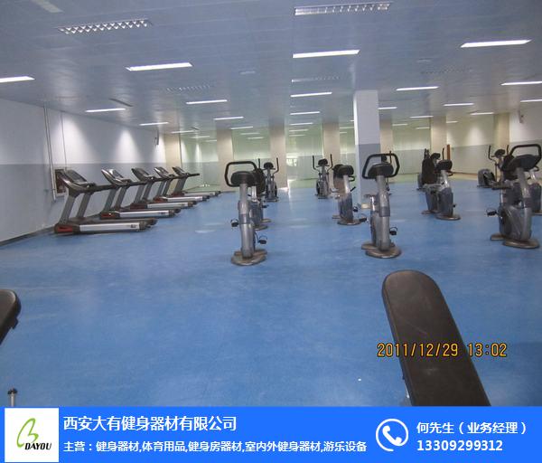 大有健身器材公司(图)-健身器材批发-洋县健身器材