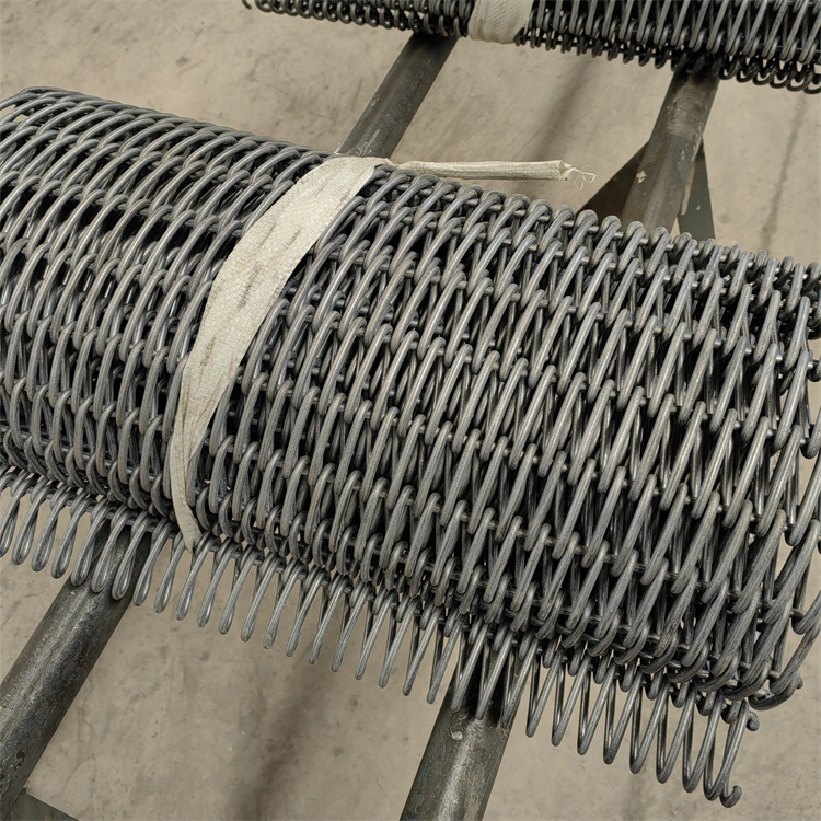 支杆网带-力能热工机械信赖推荐-支杆网带批发