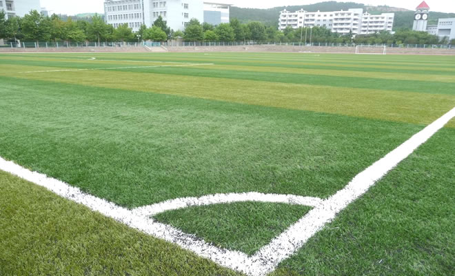 人造草坪,重慶勝帥建材(優質商家),人造草坪廠家批發