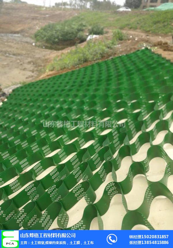 土工格室绿化施工-土工格室绿化-蜂格工程材料