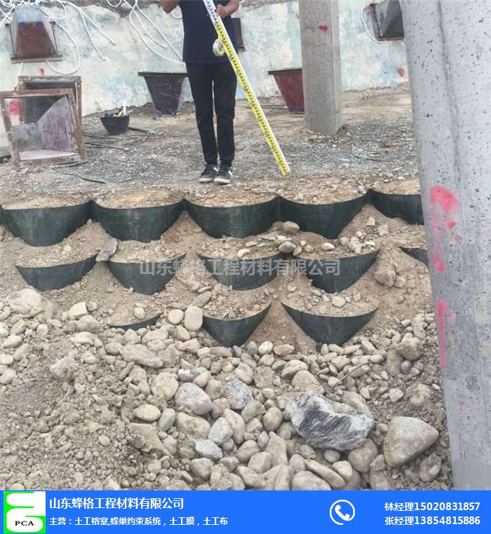吉林HDPE土工格室-山东蜂格工程材料-HDPE土工格室厂