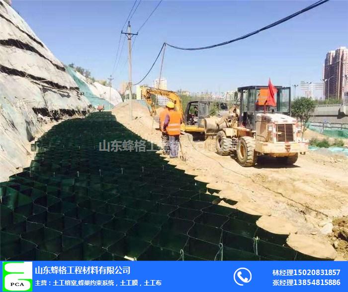 萍乡pe土工格室-pe土工格室制造单位-蜂格工程材料有限公司