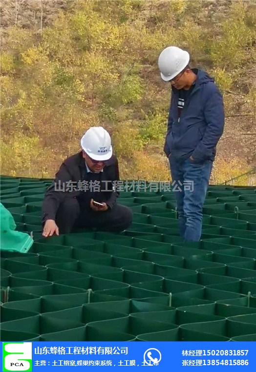 焦作PVC土工格室-山东蜂格-PVC土工格室生产厂家