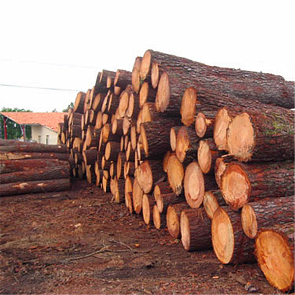 輻射松建筑方木-輻射松建筑方木供應商-友聯木材加工廠