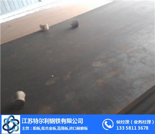 滁州NM600耐磨板-江苏特尔利耐磨板厂(图)