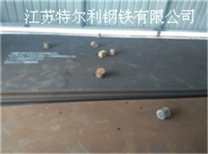 濮阳NM600耐磨钢板-江苏特尔利耐磨板(在线咨询)