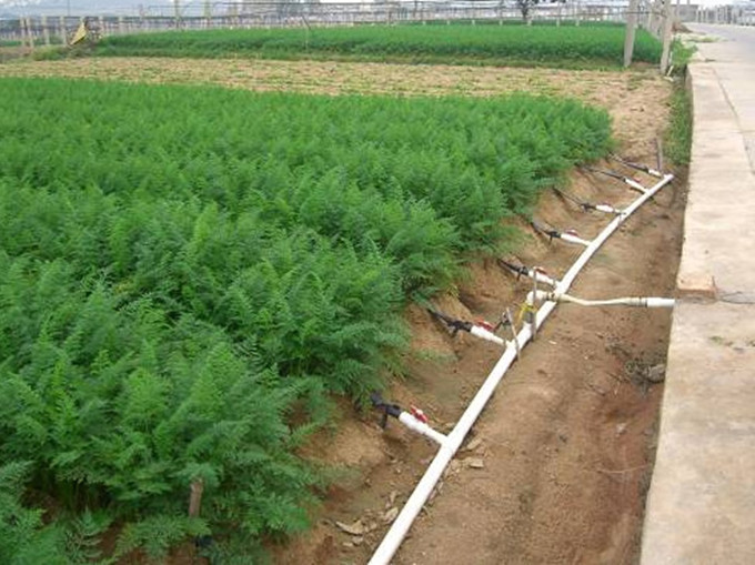德钦园林节水灌溉-润农节水灌溉(推荐商家)