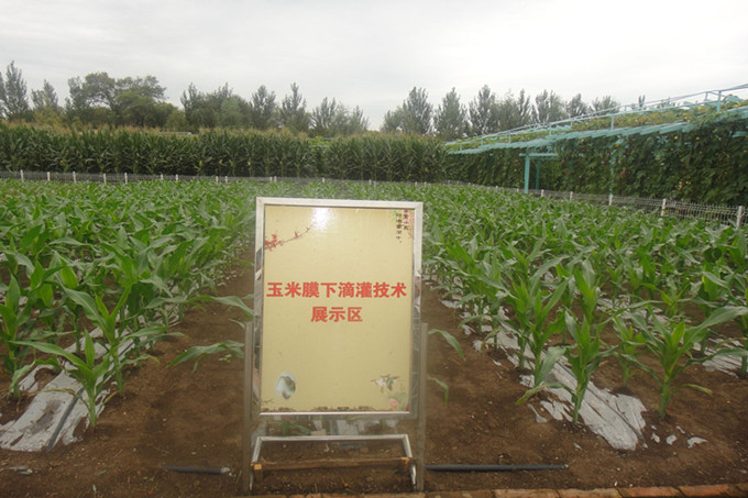 润农节水灌溉技术(图)-农业节水灌溉设备-农业节水灌溉