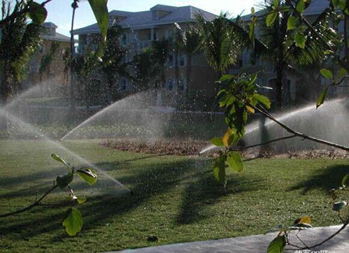 节水灌溉设备-润农节水灌溉系统-西瓜节水灌溉设备