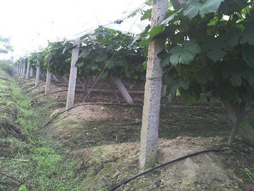 润农节水灌溉-高标准农田节水灌溉配件