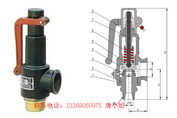 重慶安全閥、大才閥門、重慶安全閥內裝式