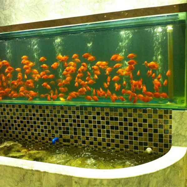 杭州大型亚克力鱼缸-日出水族您的选择-大型亚克力鱼缸制作