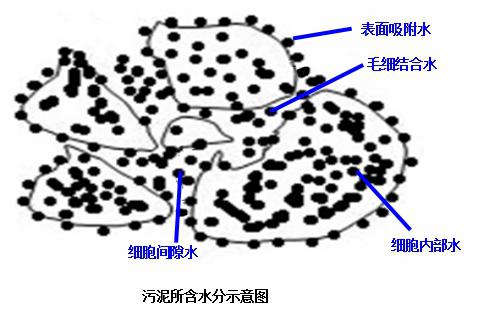 污泥处理,润圣化工(优质商家),污泥处理厂家