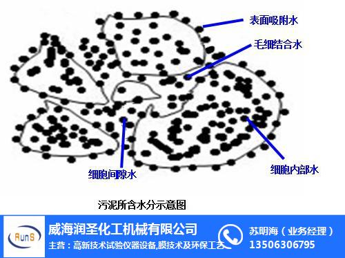 污泥處理裝置,潤圣化機(jī)(在線咨詢),微山污泥處理裝置