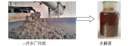 污泥_污泥处理方法 _润圣化工