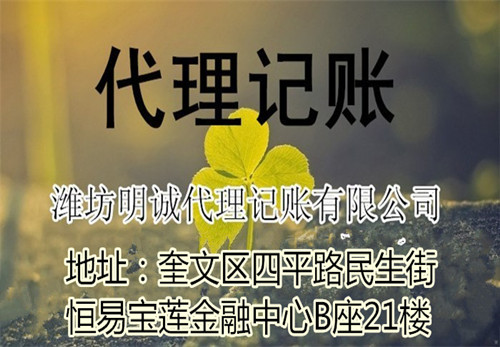 代理注册分公司|明诚代理(在线咨询)|潍坊代理注册分公司电话