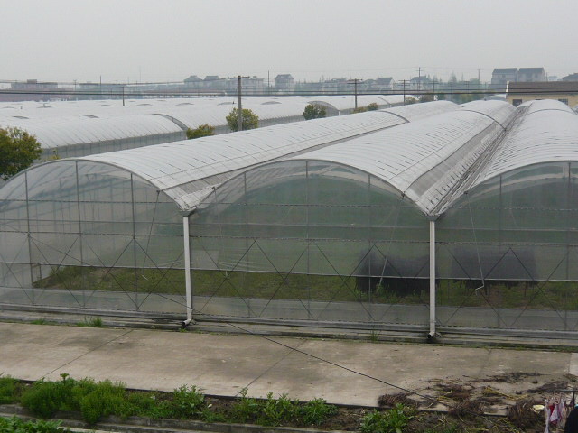 楚雄玻璃温蔬菜大棚-玻璃温蔬菜大棚建造-科创温室大棚