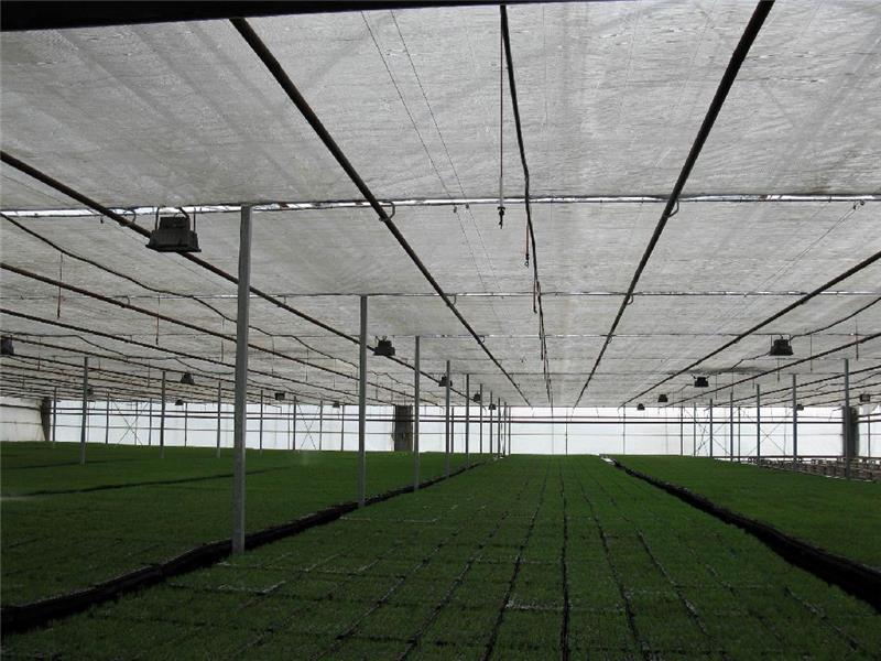 石林玻璃温蔬菜大棚-科创温室大棚-玻璃温蔬菜大棚搭建