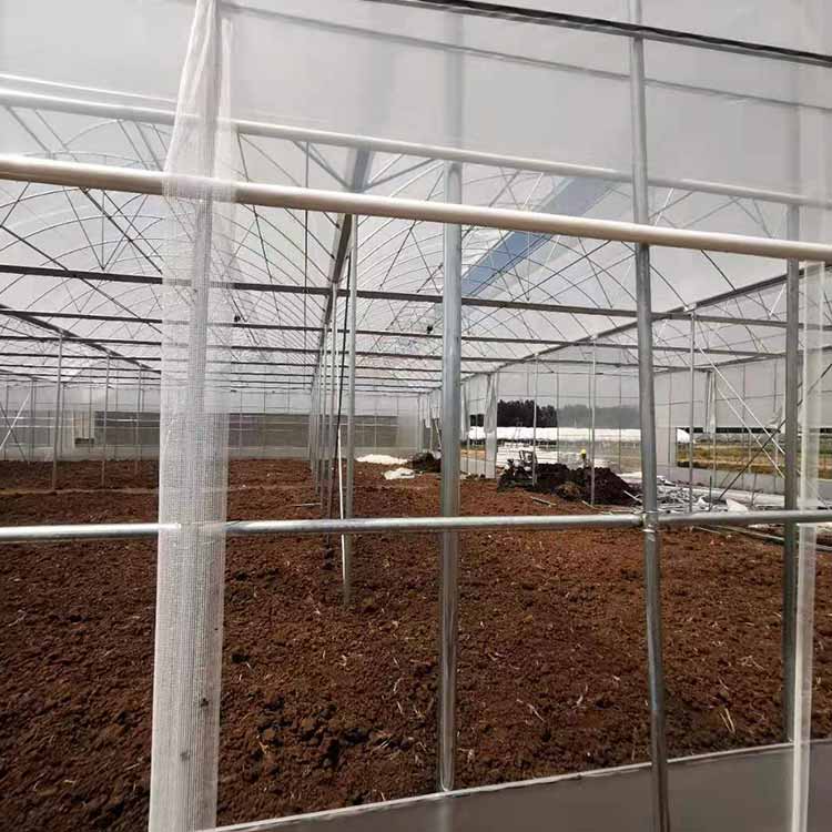 文山農業大棚-文山農業大棚建造-科創溫室大棚