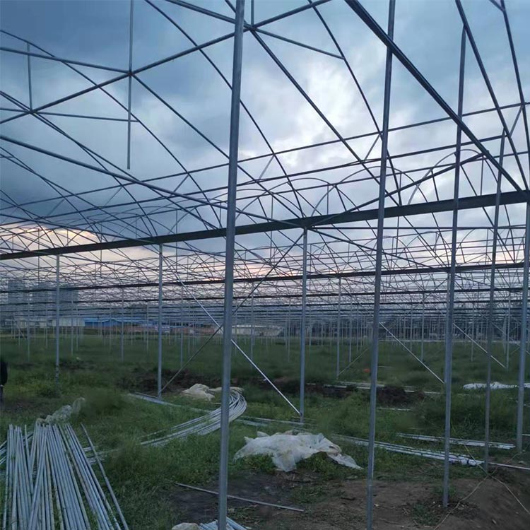養殖溫室大棚-科創溫室大棚造價-養殖溫室大棚施工