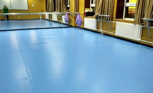 舞蹈室用地板-立美体育-舞蹈室用地板厂家