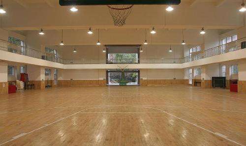 篮球场木地板品牌-篮球场木地板-立美体育