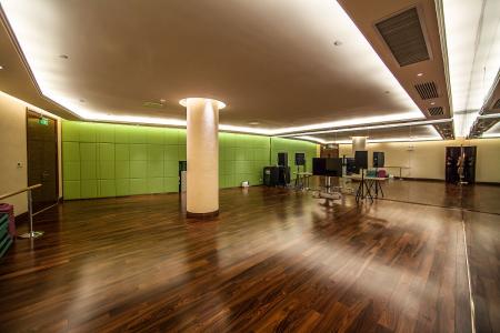 舞蹈房木地板-立美建材品质过硬-舞蹈房木地板厂家