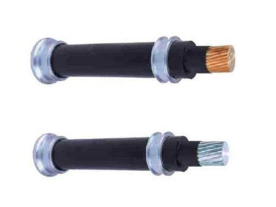 长源氯乙烯电线电缆(图)-电线电缆厂-电线电缆