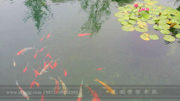 南京中式庭院景观“本信息长期有效”