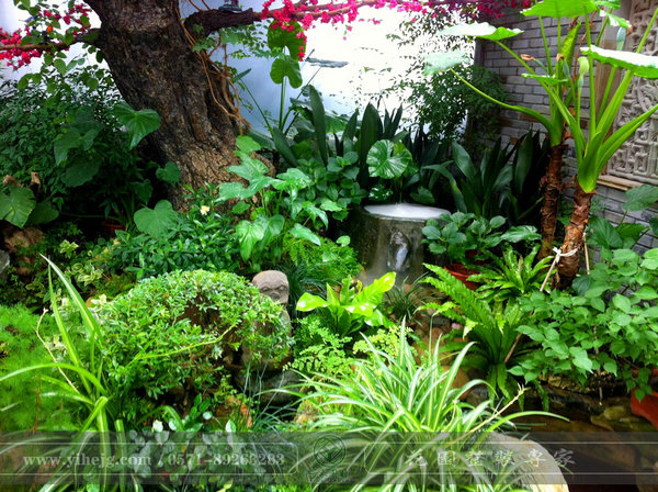 一禾园林|私家庭院景观设计|庭院景观
