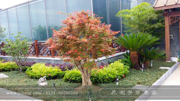 別墅花園設計公司-上海別墅花園-杭州一禾園林景觀工程
