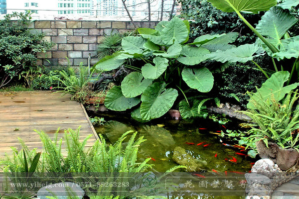 杭州屋顶花园-一禾园林(在线咨询)-屋顶花园设计公司