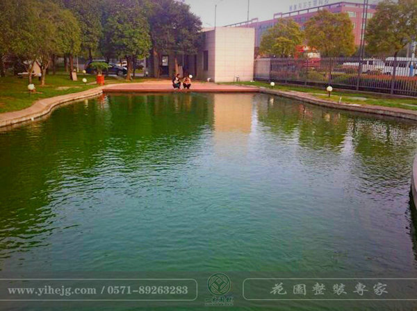 杭州鱼池净化,一禾园林(优质商家),杭州鱼池净化多少钱