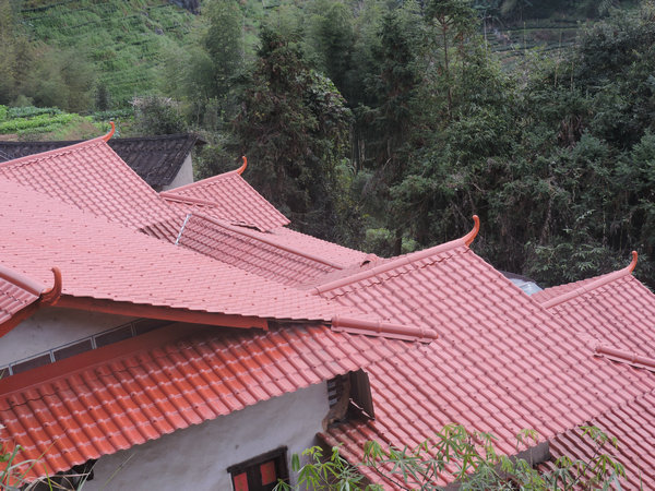 漳州小青瓦-彩瑞建材(在线咨询)-小青瓦厂家