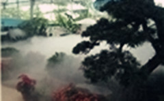喷雾-喷雾造景系统-杜丰贸易