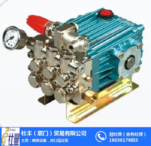 浙江进口高压泵-杜丰贸易厂家-进口高压泵安装
