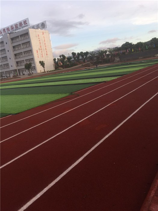 湘潭市人造草坪球场铺设-永康体育设施-人造草坪球场铺设