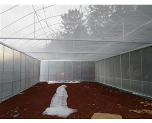 玻璃溫室大棚廠家-玉溪玻璃溫室大棚-芷陽定制大棚溫室