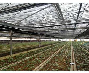 養殖溫室大棚安裝-開遠養殖溫室大棚-芷陽溫室