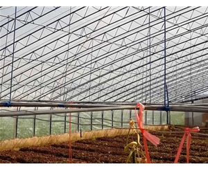 楚雄養殖溫室大棚-養殖溫室大棚搭建-芷陽溫室