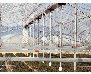養殖溫室大棚建設-玉溪養殖溫室大棚-芷陽溫室