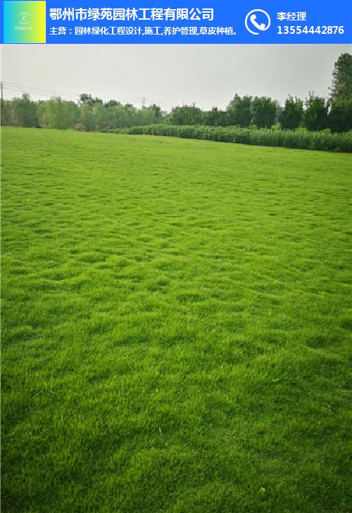 黄石草坪-绿苑园林工程(推荐商家)-草坪价格