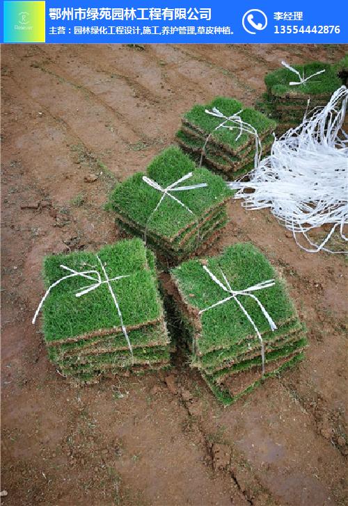 草坪绿化-鄂州草坪-绿苑园林工程