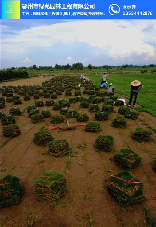 绿苑园林工程(图)-马尼拉草卷厂家-鄂州马尼拉草卷