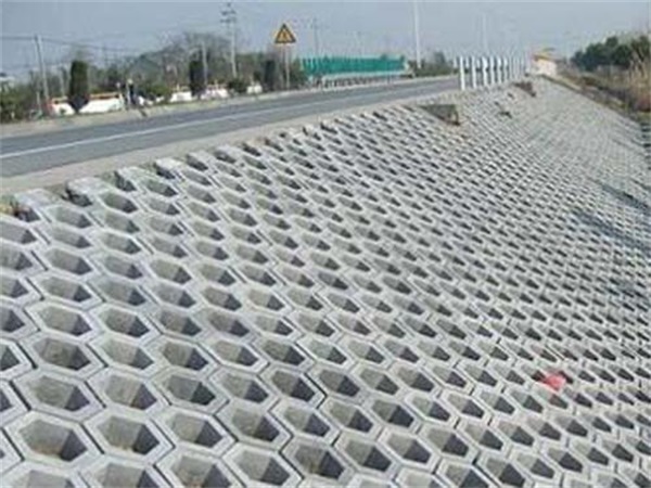 长旺建材公司(图)-天津护坡砖供应商-天津护坡砖