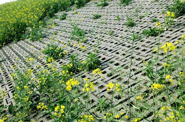 护坡砖-长旺建材(原宝坻富强水泥制厂)-北京护坡砖厂家