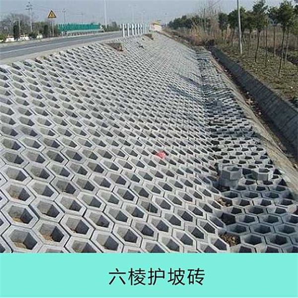 长旺建材(图)-北京护坡砖厂家-护坡砖