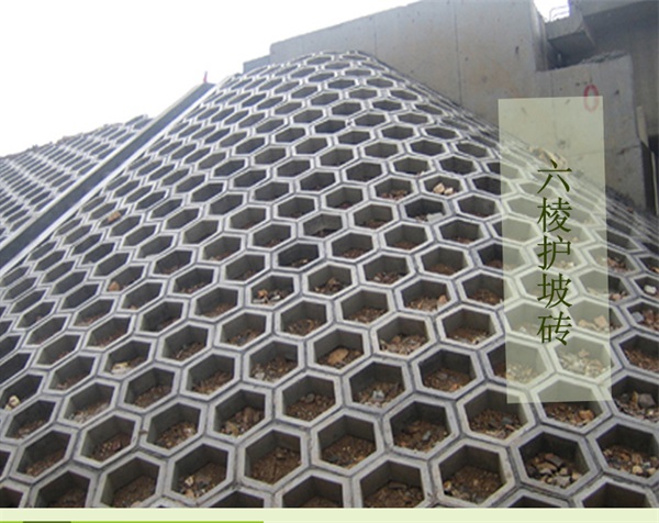 护坡砖厂家直销-北京护坡砖-长旺建材公司