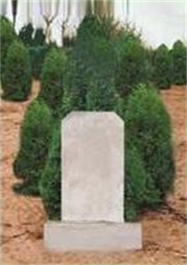 天津植树葬-植树葬价位-天津公墓营销平台