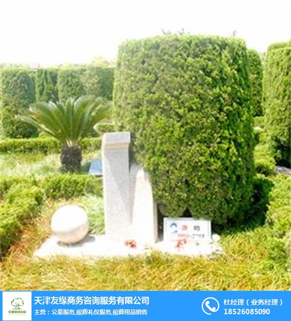 植树葬多少钱- 天津公墓营销公司-天津植树葬